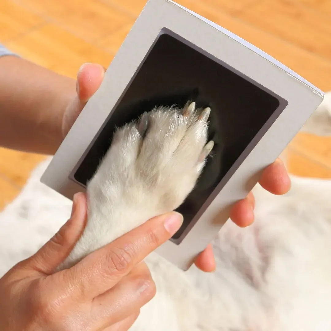 Pfotenabdruck Clean Touch Stempelkissen – Erinnerungsstück für Hunde- oder Katzenbesitzer, DIY Set für tuschfreie Pfoten- und Nasenabdrücke