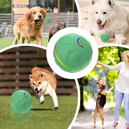 Rollender Hundespielball – automatisches interaktives Haustierspielzeug, USB-wiederaufladbarer Hundekauspielball, Haustierbedarf für Garten, Hinterhof & Park