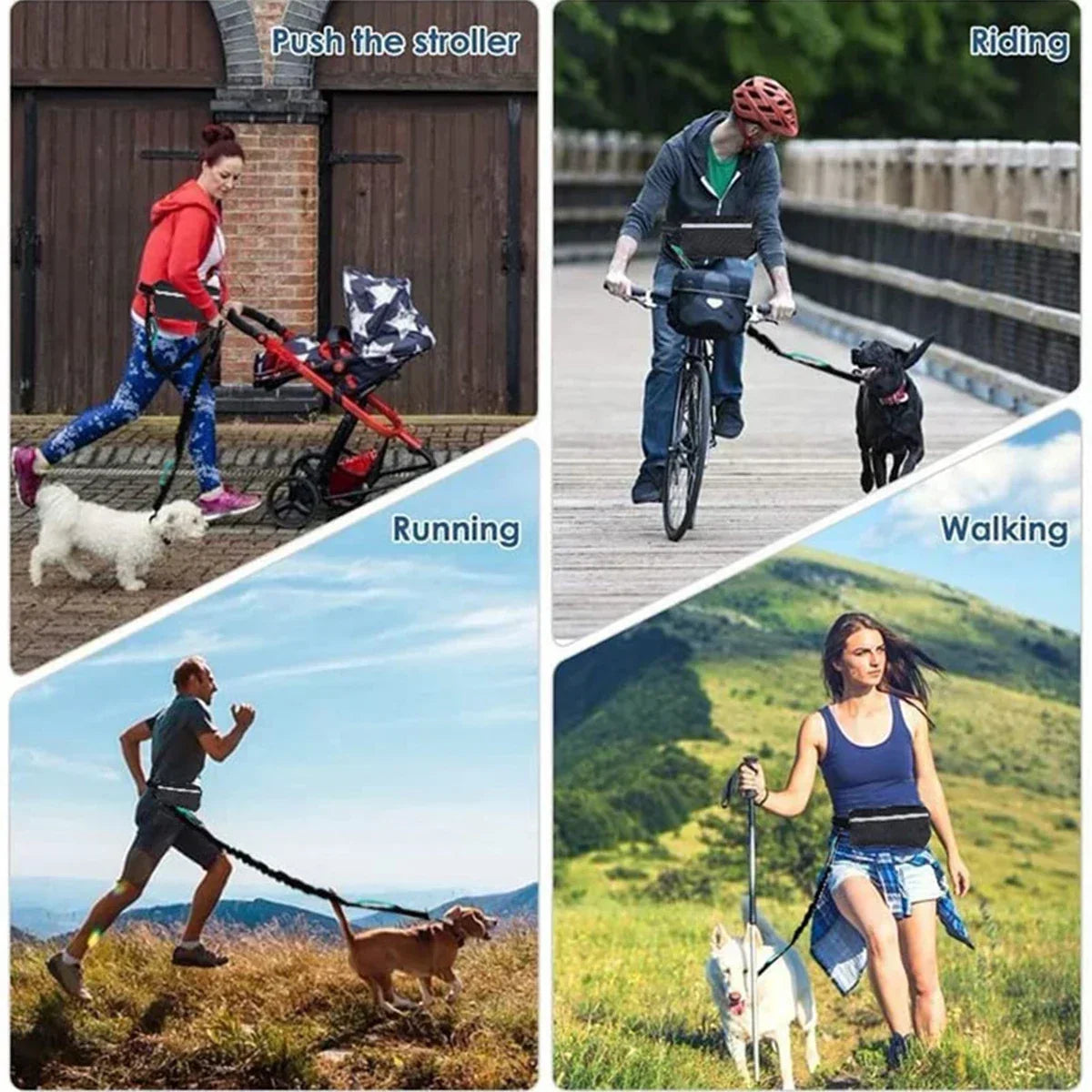 Hunde-Jogging-Leine mit Bauchgurt & Tasche – elastisch, reflektierend & freihändig