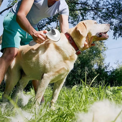 Fellpflege-Bürste & Kamm für Hunde & Katzen, Haarentferner & Entfilzungs-Tool