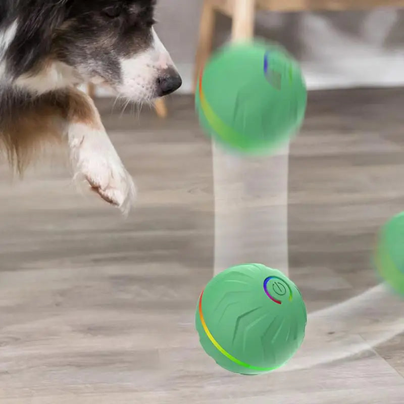 Rollender Hundespielball – automatisches interaktives Haustierspielzeug, USB-wiederaufladbarer Hundekauspielball, Haustierbedarf für Garten, Hinterhof & Park