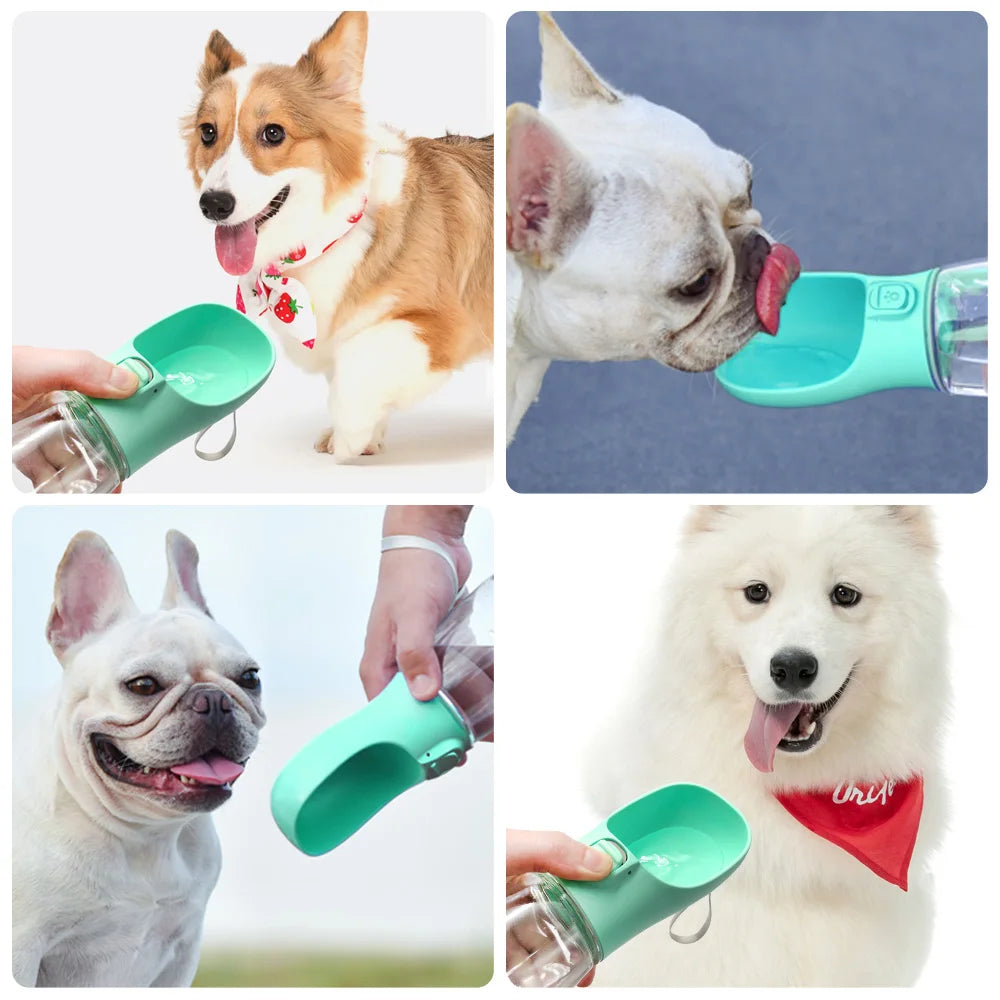 Tragbare Hunde-Trinkflasche – Auslaufsicherer Wasserbehälter für Hunde & Katzen, ideal für Spaziergänge & Reisen