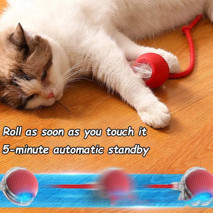 Interaktives Katzen-Spielball-Spielzeug – automatischer Rollball mit Kunstschwanz, wiederaufladbares smartes Haustierspielzeug für Katzen & Hunde, Trainingsspielzeug mit Maus-Imitation