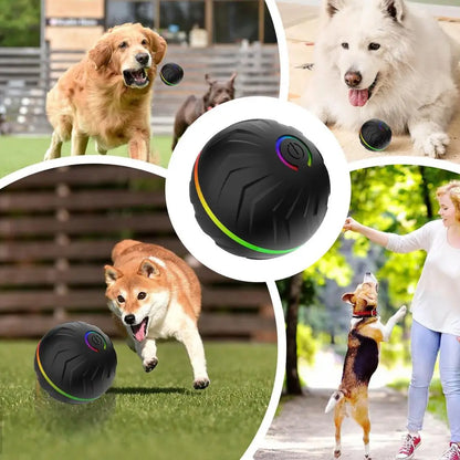 Rollender Hundespielball – automatisches interaktives Haustierspielzeug, USB-wiederaufladbarer Hundekauspielball, Haustierbedarf für Garten, Hinterhof & Park