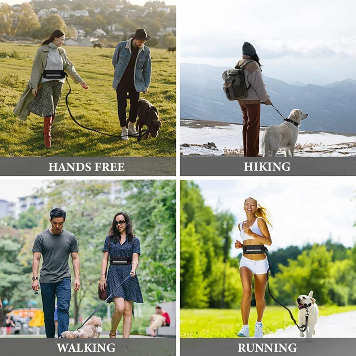 Hunde-Jogging-Leine mit Bauchgurt & Tasche – elastisch, reflektierend & freihändig