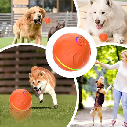 Rollender Hundespielball – automatisches interaktives Haustierspielzeug, USB-wiederaufladbarer Hundekauspielball, Haustierbedarf für Garten, Hinterhof & Park
