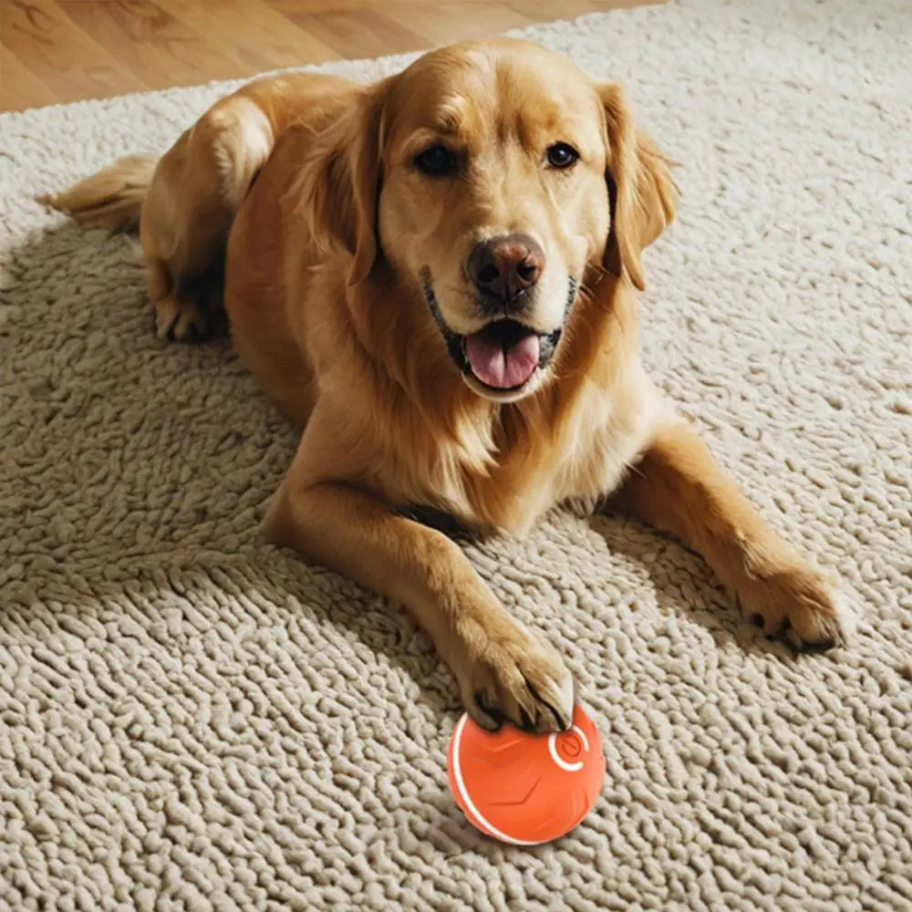 Rollender Hundespielball – automatisches interaktives Haustierspielzeug, USB-wiederaufladbarer Hundekauspielball, Haustierbedarf für Garten, Hinterhof & Park