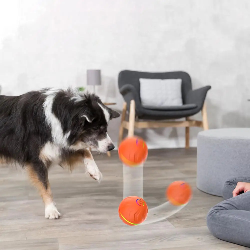 Rollender Hundespielball – automatisches interaktives Haustierspielzeug, USB-wiederaufladbarer Hundekauspielball, Haustierbedarf für Garten, Hinterhof & Park