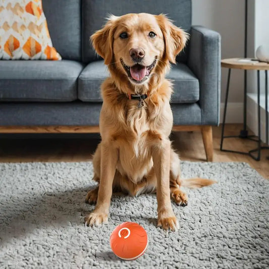 Rollender Hundespielball – automatisches interaktives Haustierspielzeug, USB-wiederaufladbarer Hundekauspielball, Haustierbedarf für Garten, Hinterhof & Park