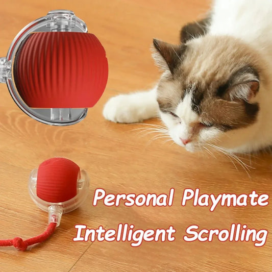 Interaktives Katzen-Spielball-Spielzeug – automatischer Rollball mit Kunstschwanz, wiederaufladbares smartes Haustierspielzeug für Katzen & Hunde, Trainingsspielzeug mit Maus-Imitation